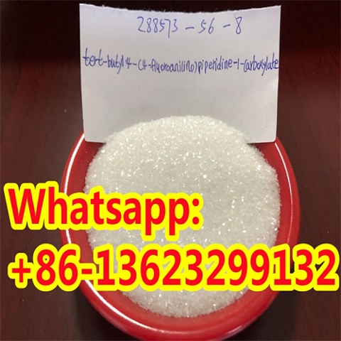 Hot Sale Tert-Butyl 4- (4-fluoroanilino) CAS: 288573-56-8 with Best Price 99.9% white powder