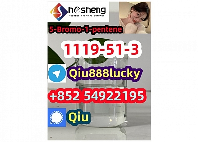 1119-51-3 5-Bromo-1-pentene