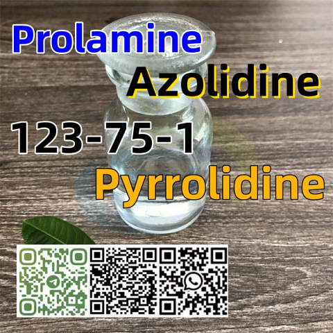 good quality Pyrrolidine CAS 123-75-1 factory supply with low price and fast shipping