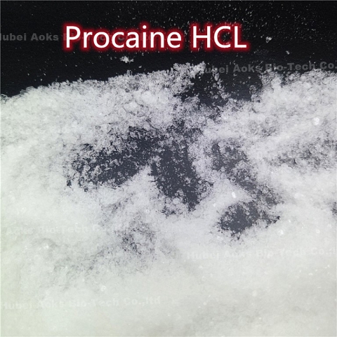 Factory Supply High Quality Procaine Hydrochloride / Procaine HCl CAS 51-05-8