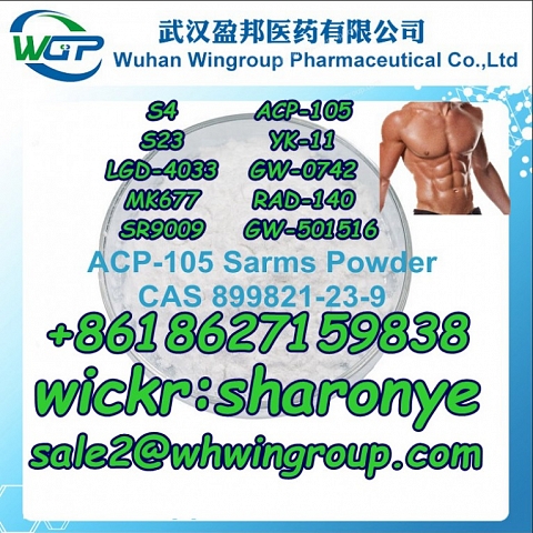 +8618627159838 Sarms Powder Steriod Powder Bodybuilding Muscle Growth with Good Price