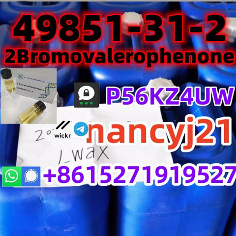 49851-31-2 2Bromovalerophenone 2-BROMO-1-PHENYL-PENTAN-1-ONE 1451-82-7 123-75-1 factory direct suppl