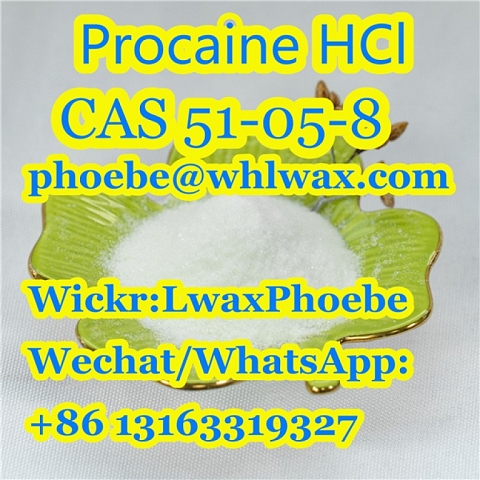 100% Safety Delivery Procaine hcl Powder CAS 51-05-8 phoebe@whlwax.com