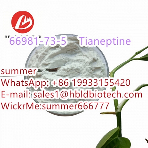 The antidepressant drug Tianeptine CAS:66981-73-5