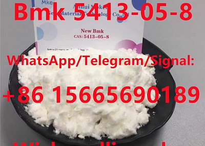 New BMK Glycidate Powder CAS 5413-05-8 16648-44-5 with 100% Delivery Guaranteed