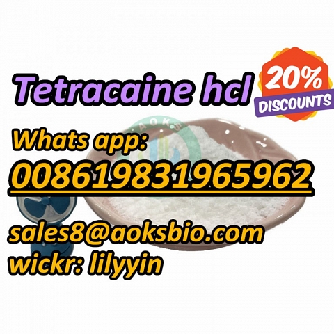 Sell Brazil 136-47-0 tetracaine hcl