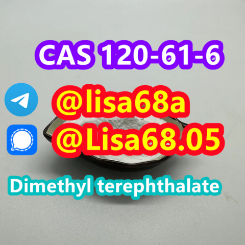 CAS 120-61-6 Dimethyl terephthalate C10H10O4