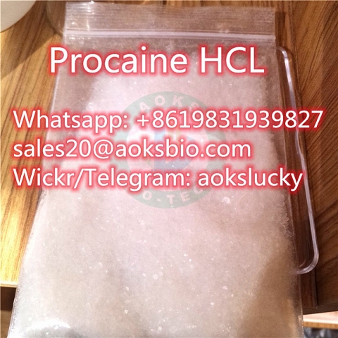 Factory Supply High Quality Procaine Hydrochloride / Procaine HCl CAS 51-05-8