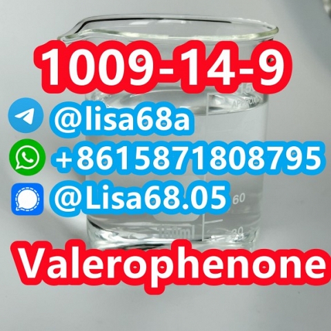 CAS 1009-14-9 Valerophenone C11H14O