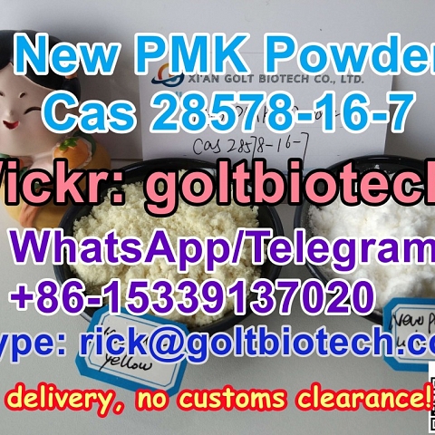 PMK Oil/Powder Cas 28578-16-7 