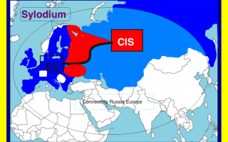 CIS – EU business (Sylodium, import export platform)