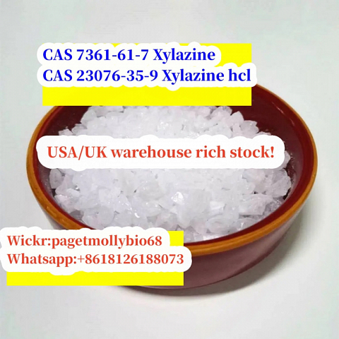 new Batch Chemical raw materials cas 7361-61-7 Xylazine 100% Safe delivery to USA/Mexico!