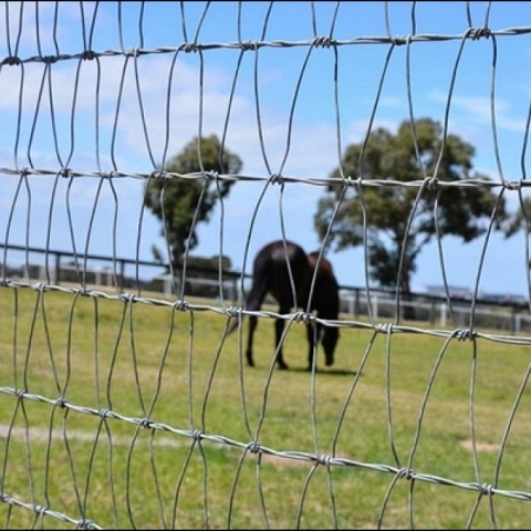 HORSE FENCE