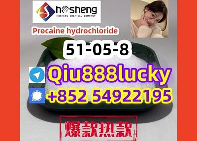 51-05-8  Procaine hydrochloride 