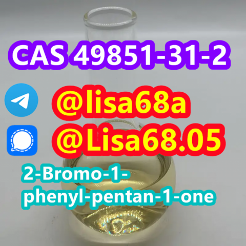 CAS 49851-31-2 2-Bromo-1-phenyl-pentan-1-one C11H13BrO