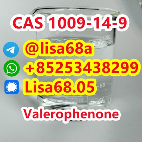 CAS 1009-14-9 Valerophenone C11H14O