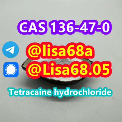 CAS 136-47-0 Tetracaine hydrochloride C15H25ClN2O2