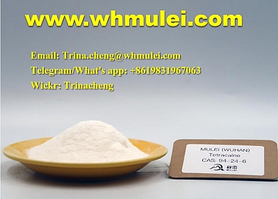 Fast shipping tetracaine powder Tetracaine base 94-24-6