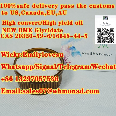 High convert oil NEW BMK Glycidate CAS 20320-59-6/16648-44-5/5413-05-8