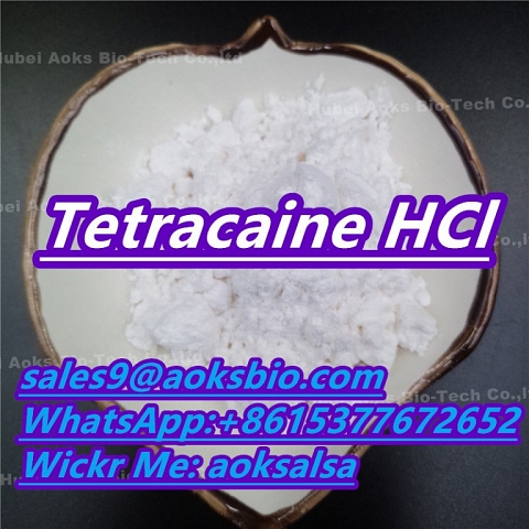 Tetracaine hcl powder cas 