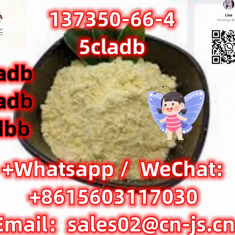 Free Sample powerful5CLADBCAS137350-66-4