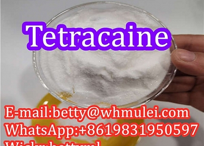 Cas:94-24-6 factory tetracaine base,tetracaine powder favorable price safe delivery