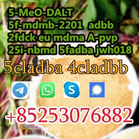 ADBB adb-butinaca Cas 2682867-55-4 5cladba for sale ship from europe k2 powder spice