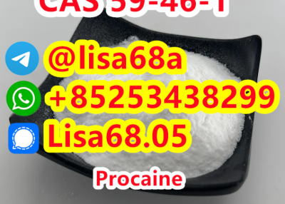 CAS 59-46-1 Procaine C13H20N2O2