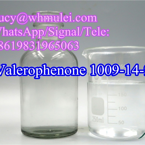 Butyl Phenyl Ketone CAS 1009-14-9 China Raw Organic Reagent Valerophenone in Safety Delivery