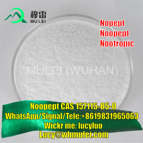 Raw Material Noopept Powder CAS 157115-85-0 Nootropics Supplement