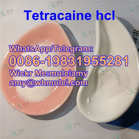 Tetracaine hydrochloride 136-47-0