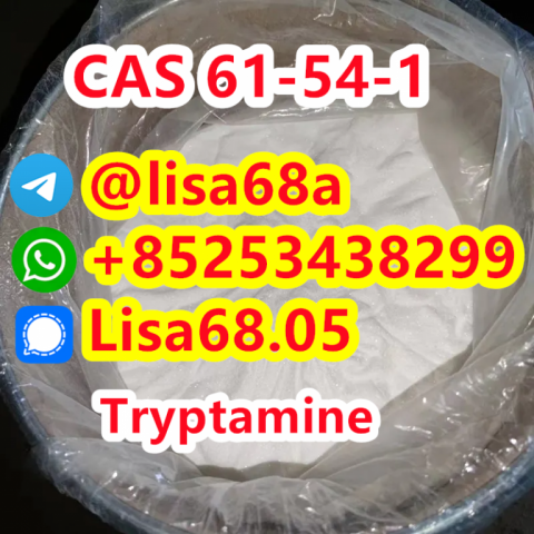 CAS 61-54-1 Tryptamine C10H12N2