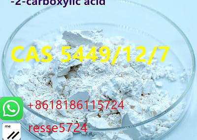 sodium,2-methyl-3-phenyloxirane-2-carboxylic acid CAS 