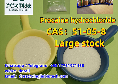 Hot Selling Procaine Hydrochloride / Procaine HCl 51-05-8