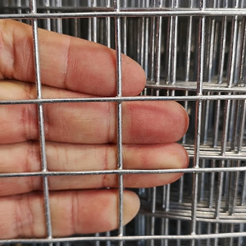 Electro Galvanized Welded Wire Mesh