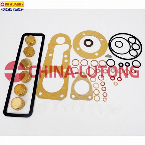 bosch ve injection pump rebuild kit-cav injector pump rebuild kit 2 417 010 021/800718 for JMC