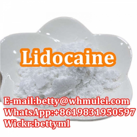 Cas:137-58-6 factory lidocaine,lidocaine powder favorable price safe delivery