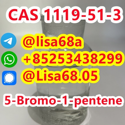 CAS 1119-51-3 5-Bromo-1-pentene C5H9Br