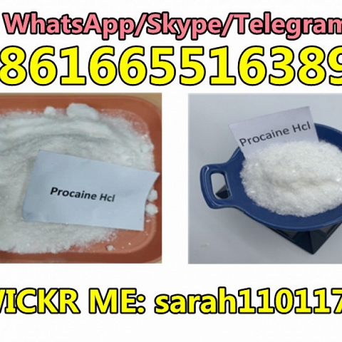 CAS 51-05-8 Procaine hydrochloride