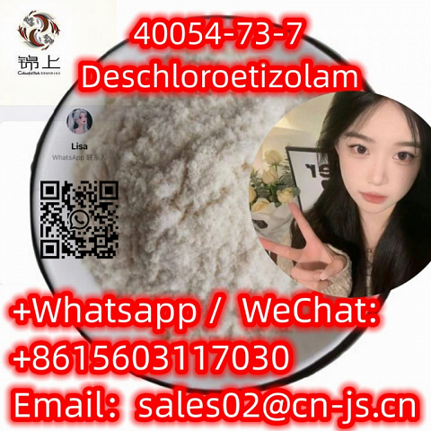  Top qualityDeschloroetizolamCAS40054-73-7