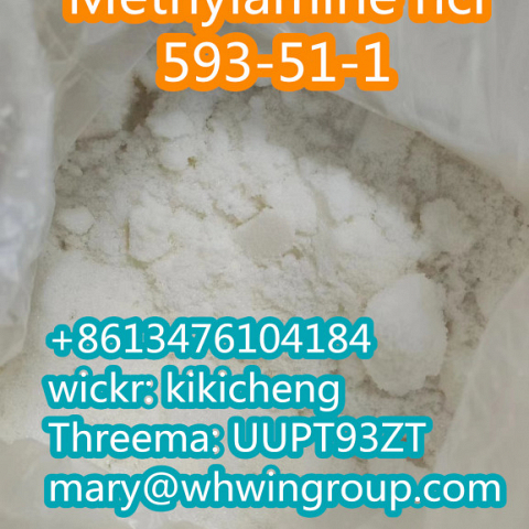 Safe shipping Methylamine hydrochloride 593-51-1 +86-13476104184