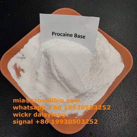 procaine supplier in China CAS 