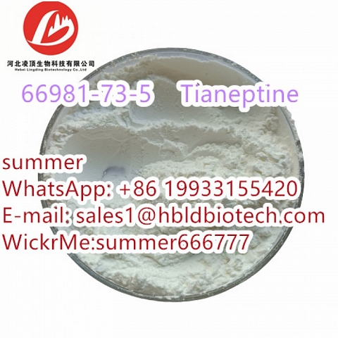 The antidepressant drug Tianeptine CAS:66981-73-5