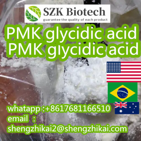 PMK CAS:5449-12-7  glycidic acid   fine powder 