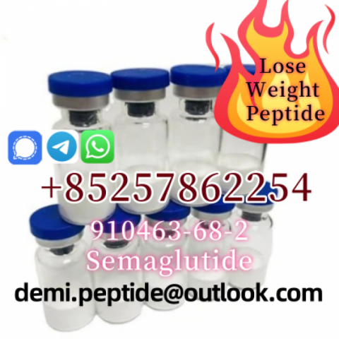 Hot Selling CAS 623172-56-5 Palmitoyl Tripepitde-5 Excellent Quality 99% High Purity COA Provided