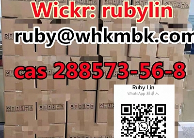  Hot Sale Tert Butyl 4 (4 fluoroanilino) CAS: 288573 56 8 with Best Price 99.9%