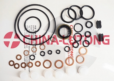 bosch diesel injector rebuild kit-cav diesel injection pump repair 096010-0010 for JMC