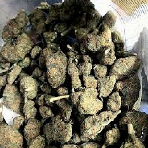 ORDER TOP QUALITY MEDICAL MARIJUANA ONLINE INFO AT +1(925)421-0418