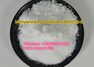 Methylamine hydrochloride CAS593-51-1 with best price 