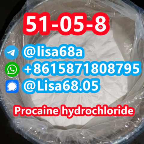 CAS 51-05-8 Procaine hydrochloride C13H21ClN2O2